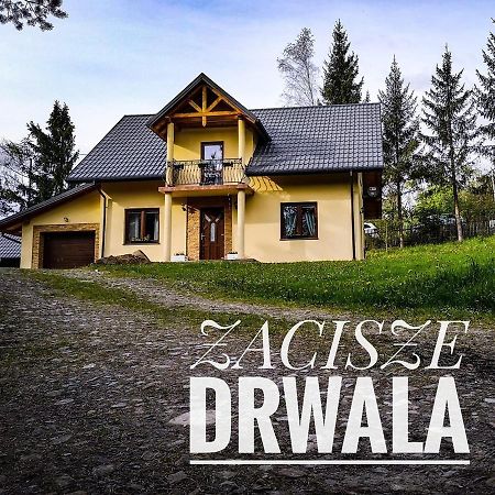Zacisze Drwala ξενώνας Lutowiska Εξωτερικό φωτογραφία