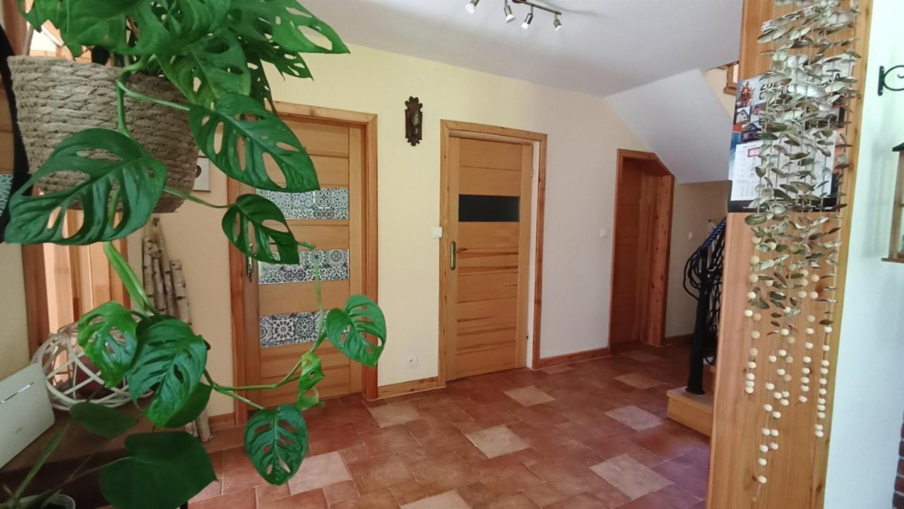 Zacisze Drwala ξενώνας Lutowiska Εξωτερικό φωτογραφία