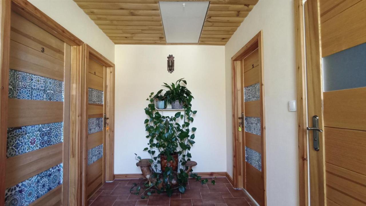 Zacisze Drwala ξενώνας Lutowiska Εξωτερικό φωτογραφία