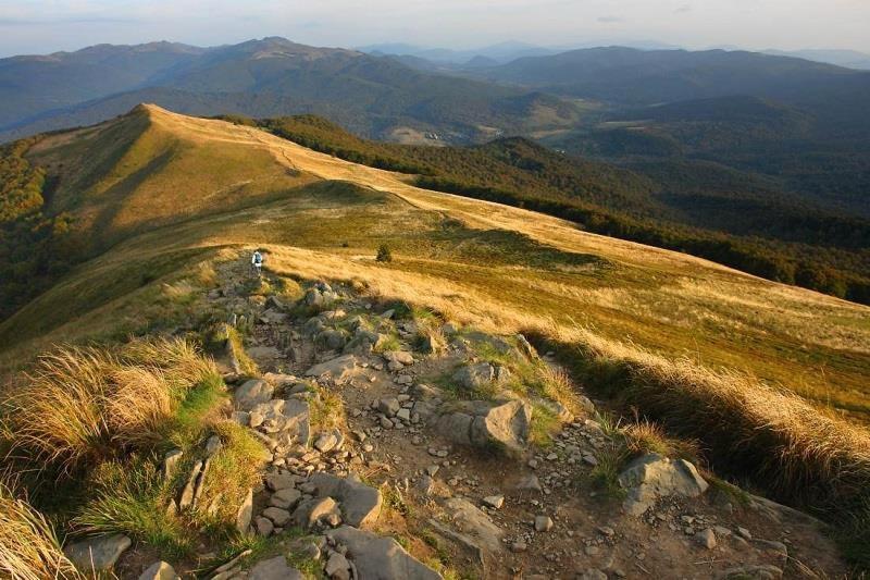 Zacisze Drwala ξενώνας Lutowiska Εξωτερικό φωτογραφία